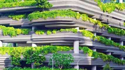 المبانى الخضراء و التنمية المستدامة